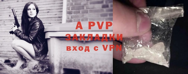стаф Алексин