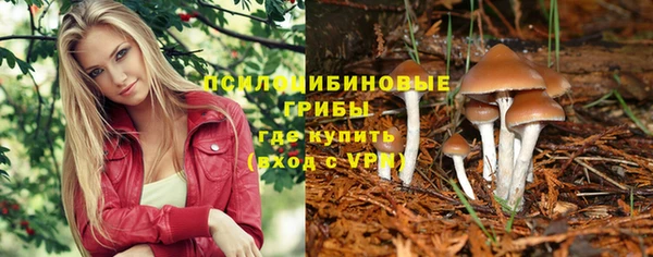 марки nbome Алзамай
